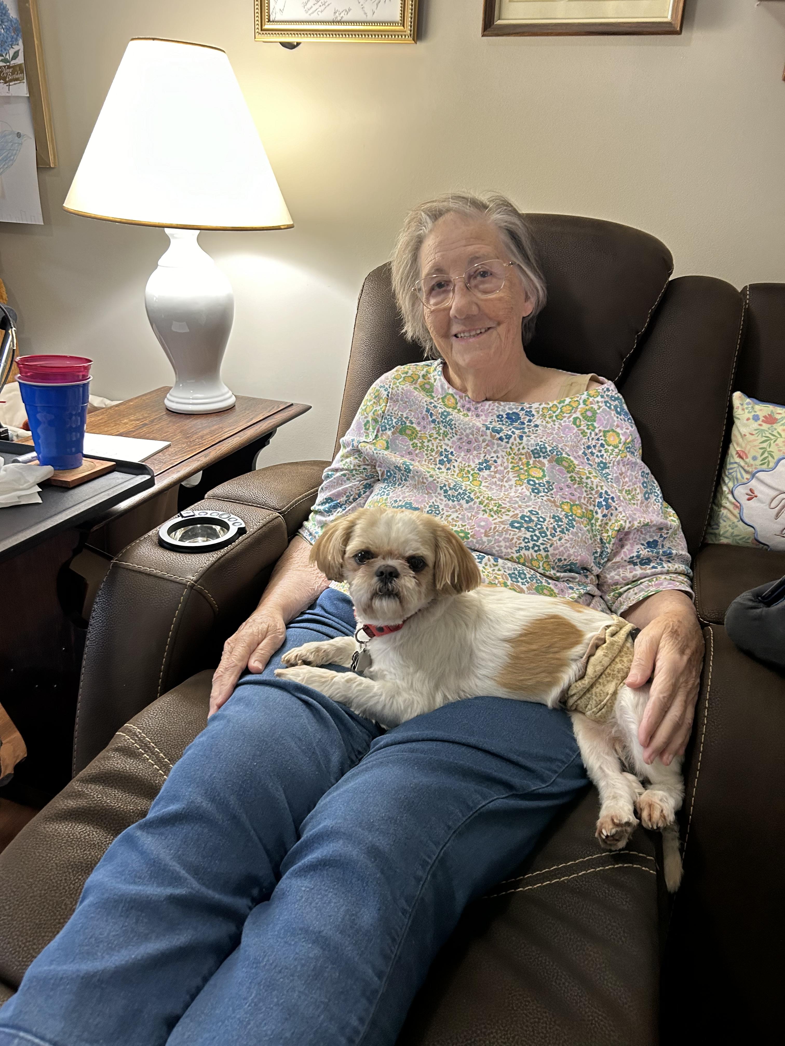 Enlarge AJ, a Adopted Shih Tzu in Knoxville, TN image 2/4
