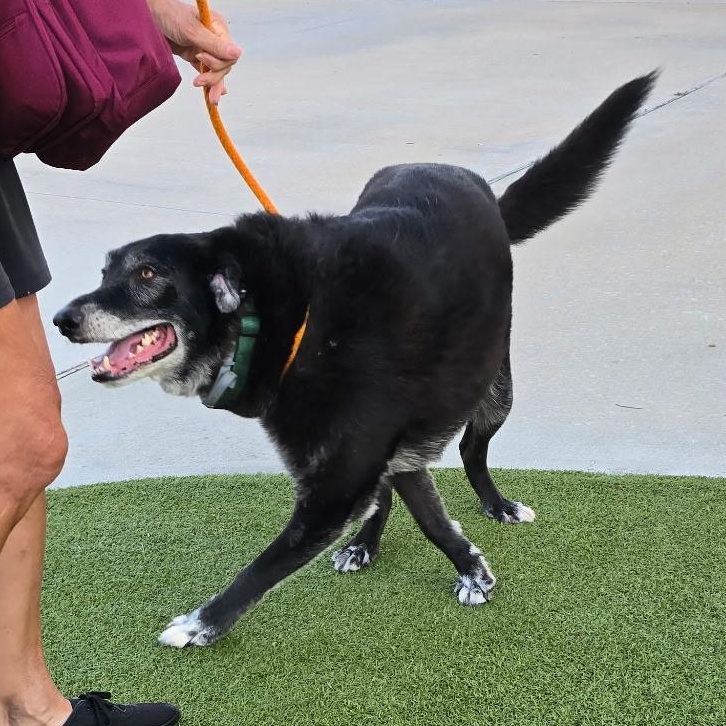 MAJOR — thumbnail 3