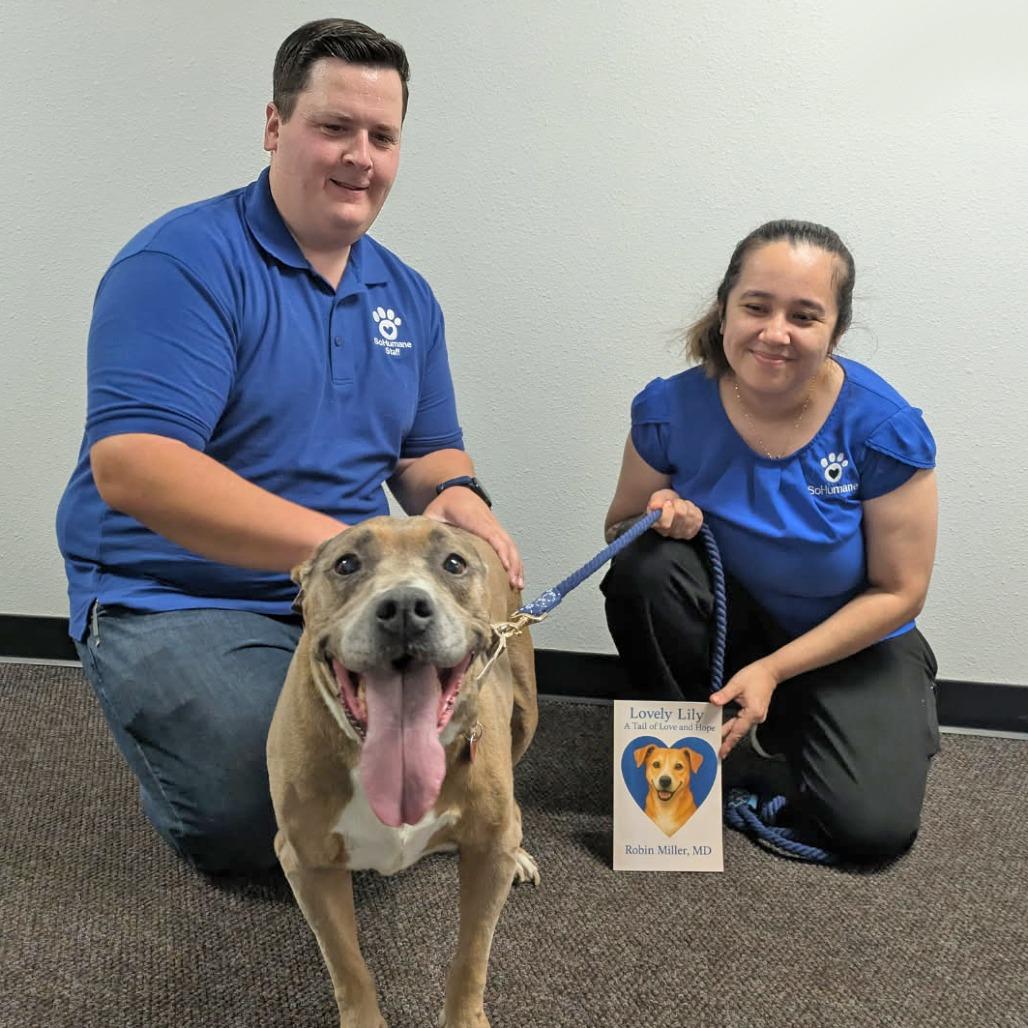 Enlarge Lily, a Adoptable mixed breed in Medford, OR image 2/4