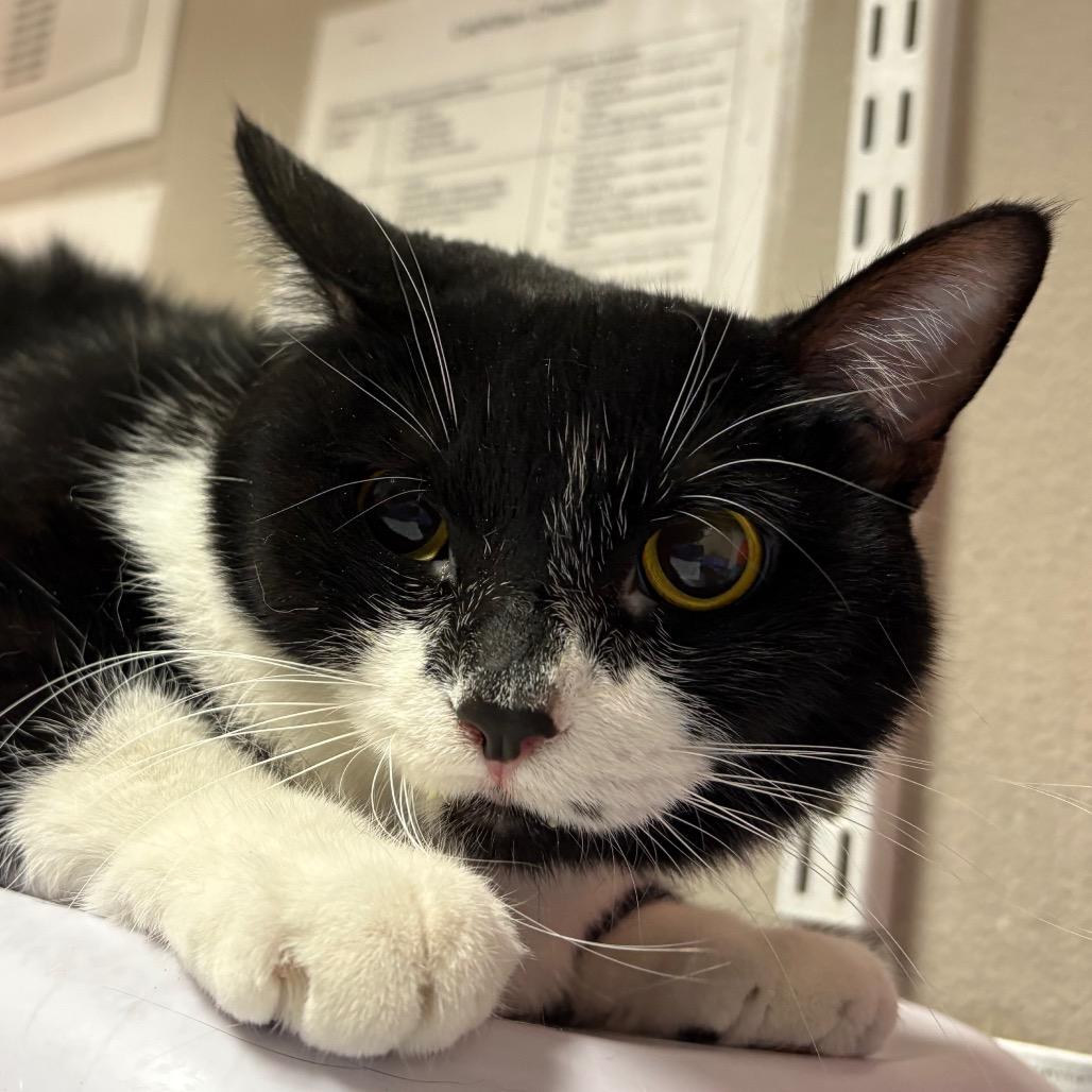 Pippa — thumbnail 2