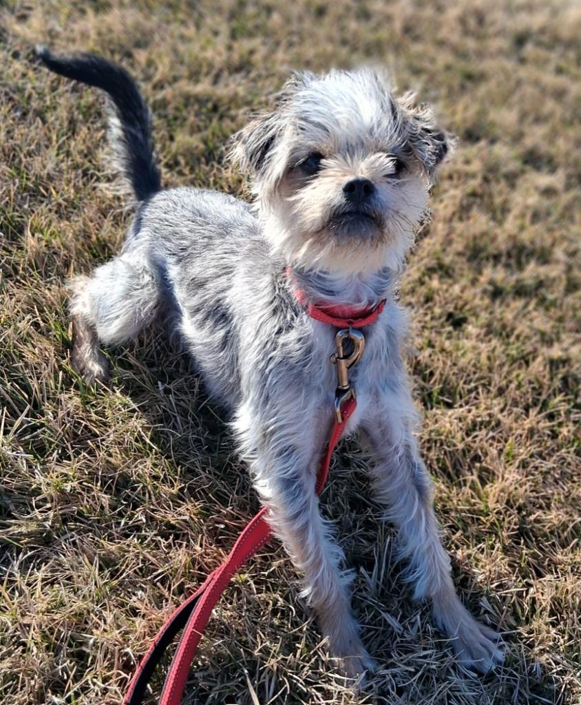 Elwood — thumbnail 2