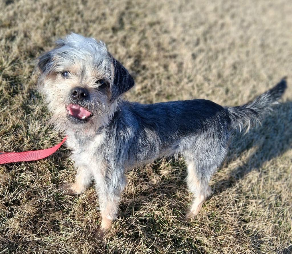 Elwood — thumbnail 3