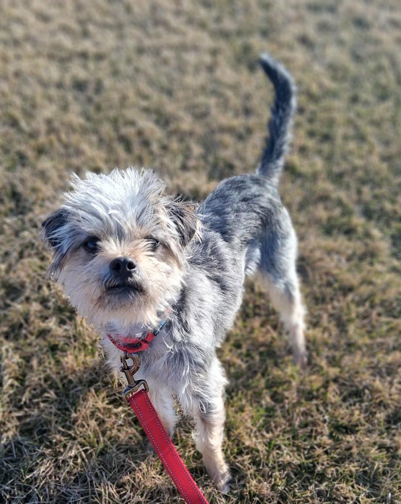 Elwood — thumbnail 4