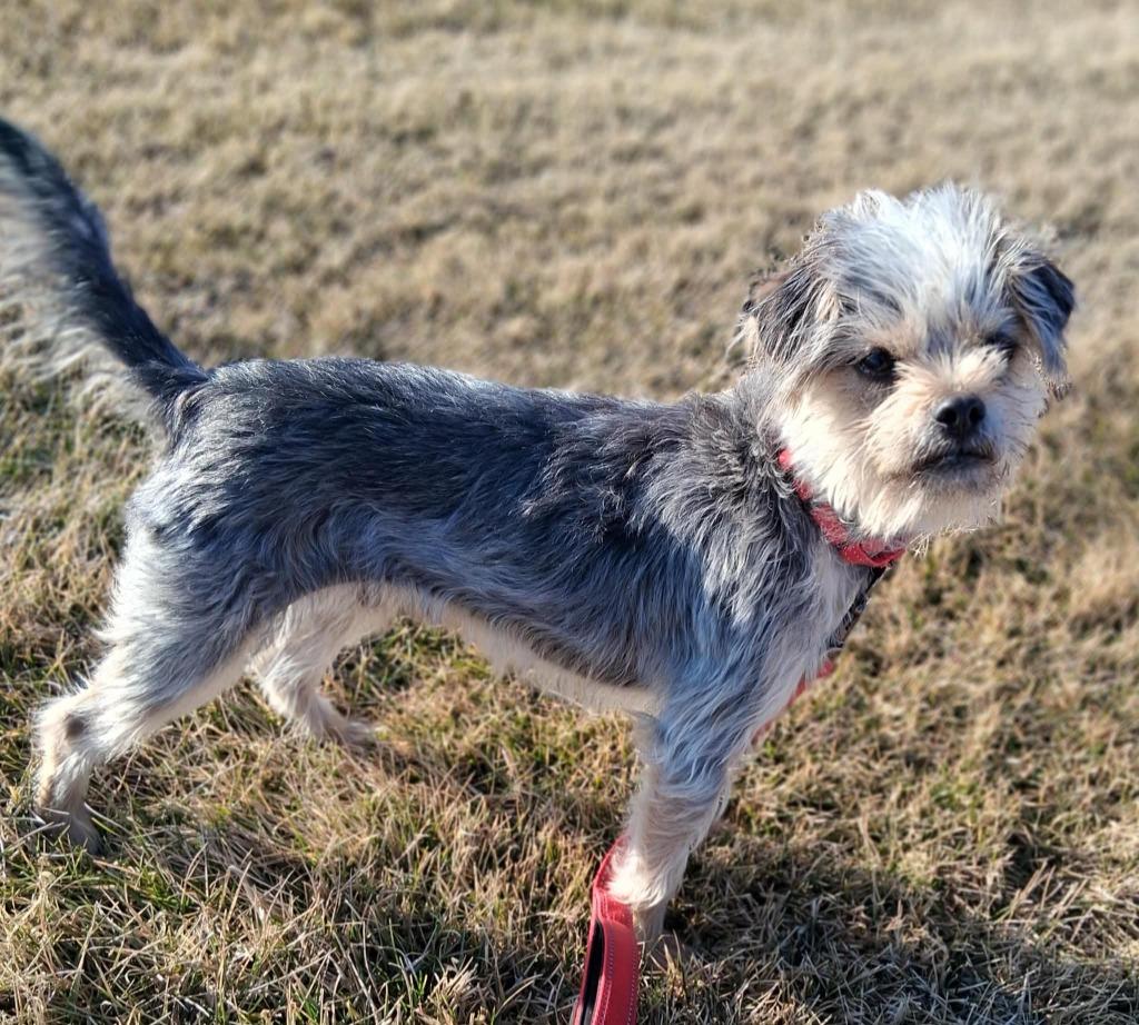 Elwood — thumbnail 5