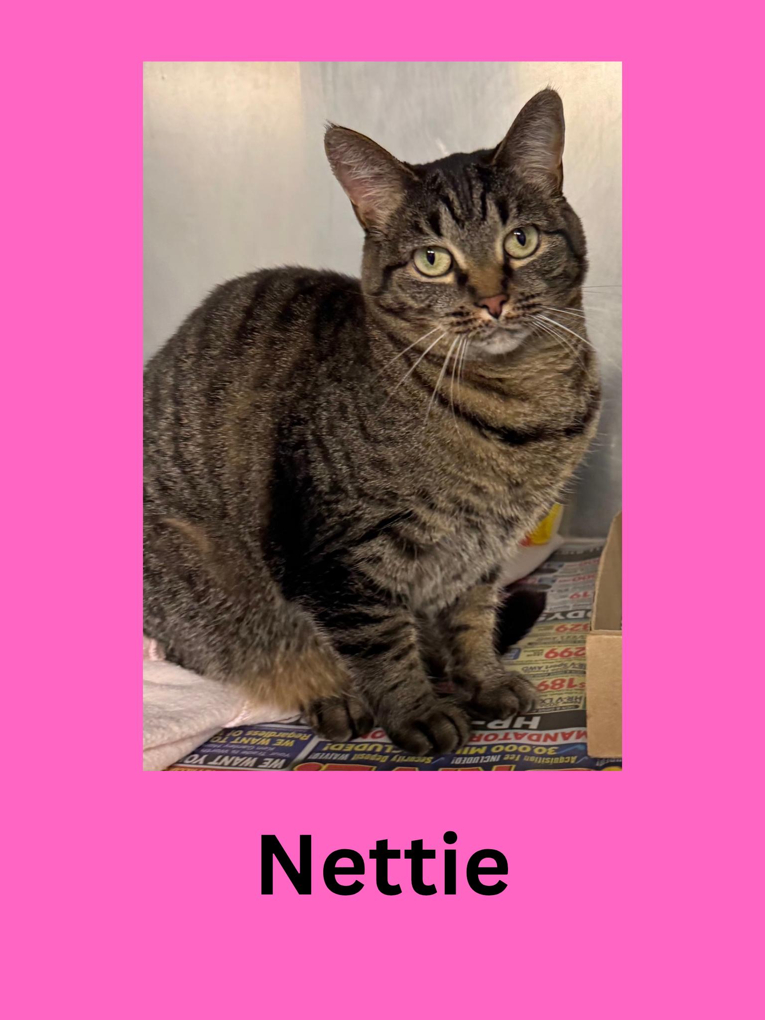 Nettie