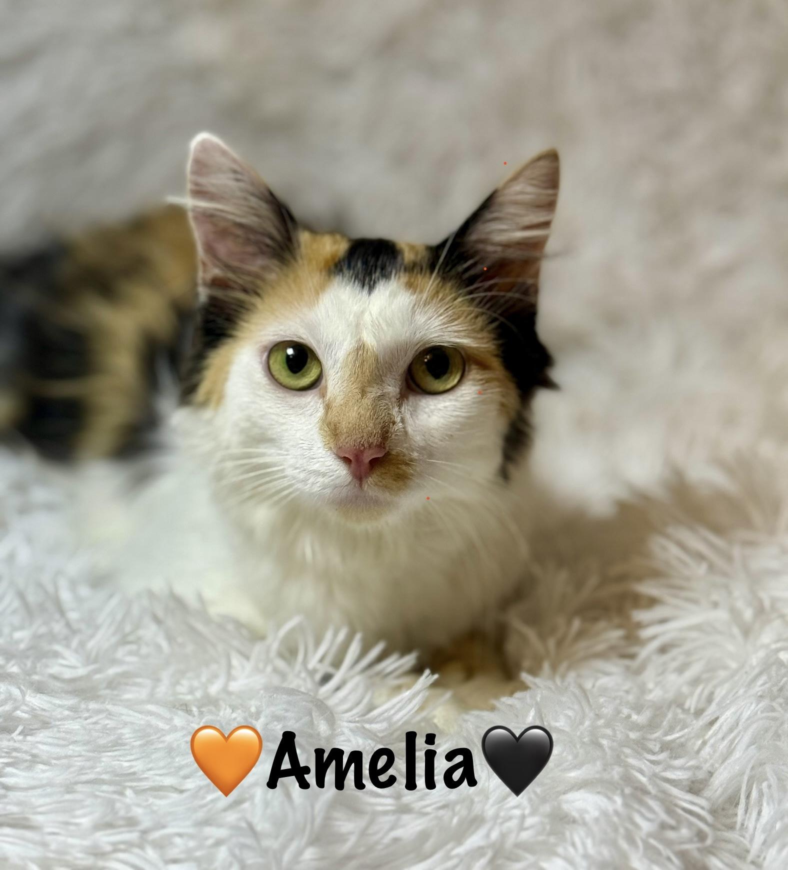 Amelia