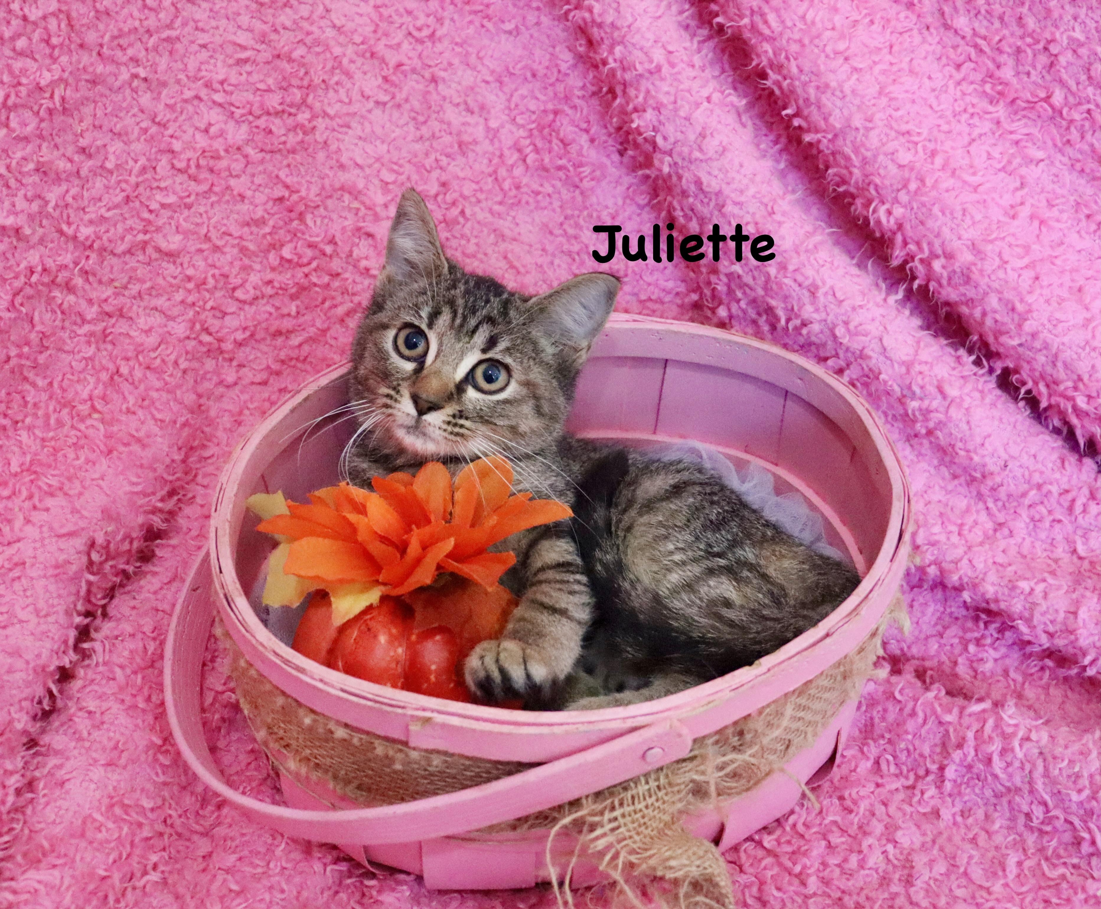 Juliet