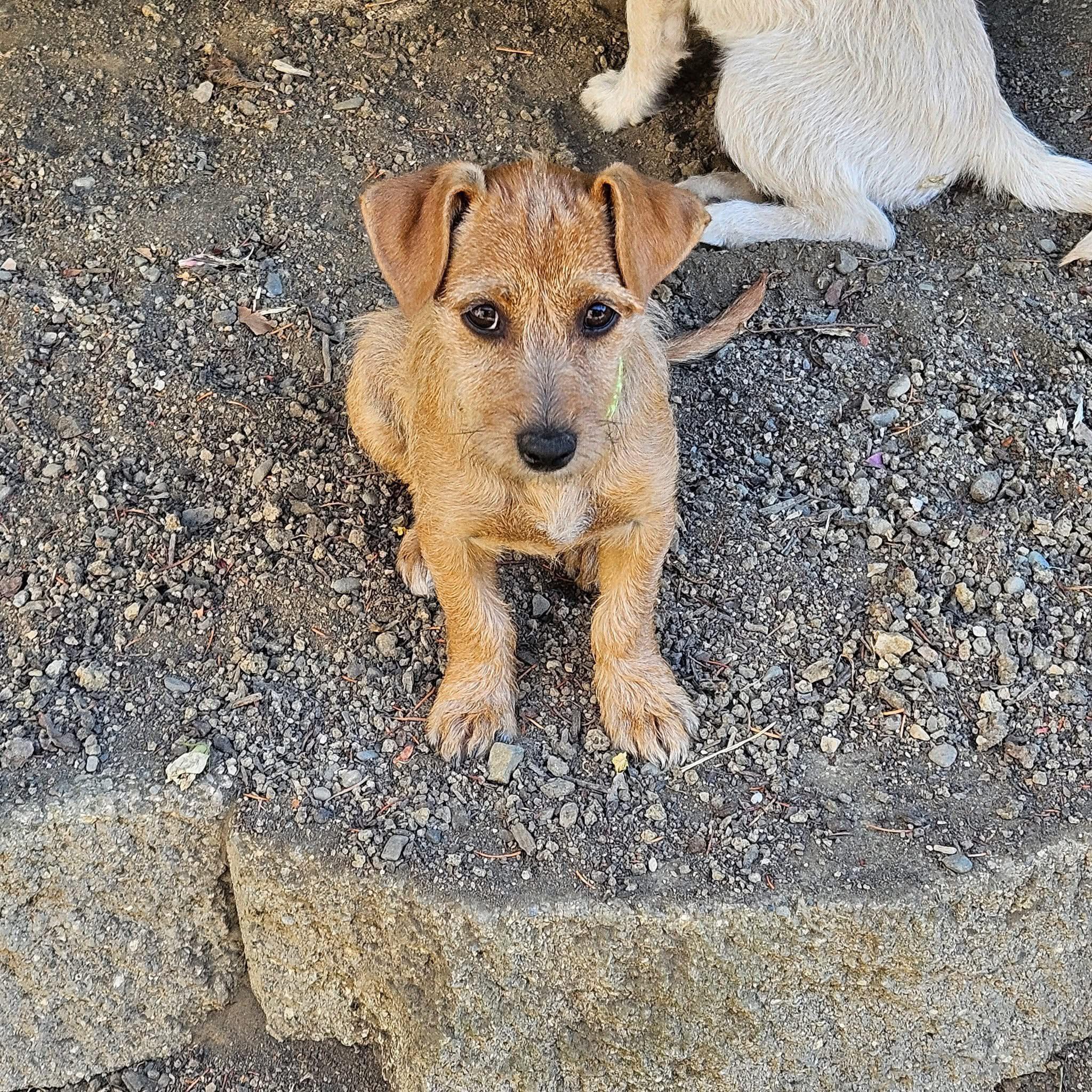 Lucy
