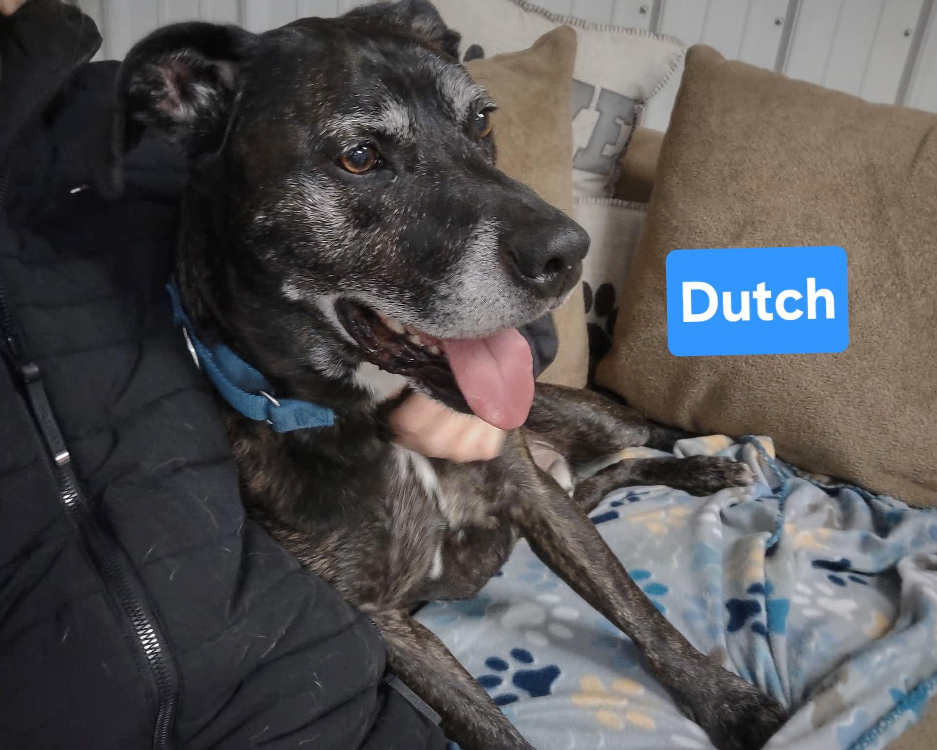 Dutch