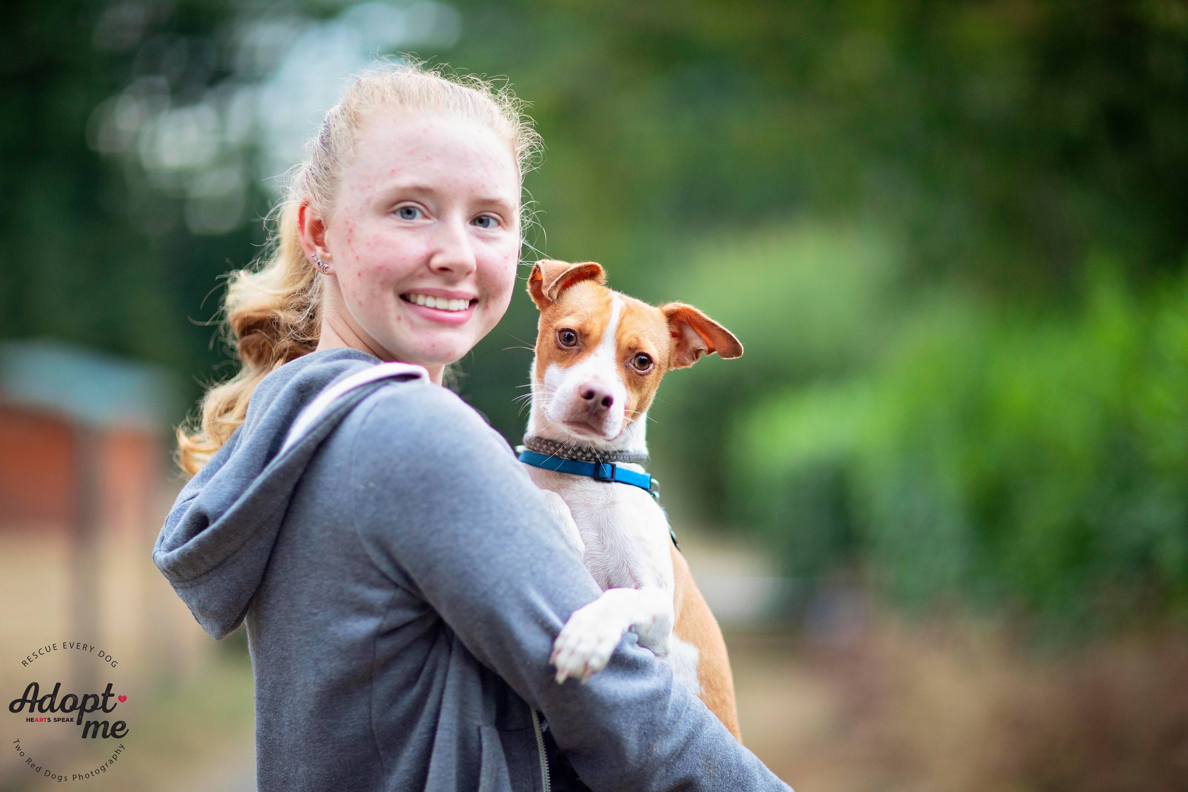 Bianca & Guero - Guero, a Adoptable mixed breed in Seattle, WA image 2/8