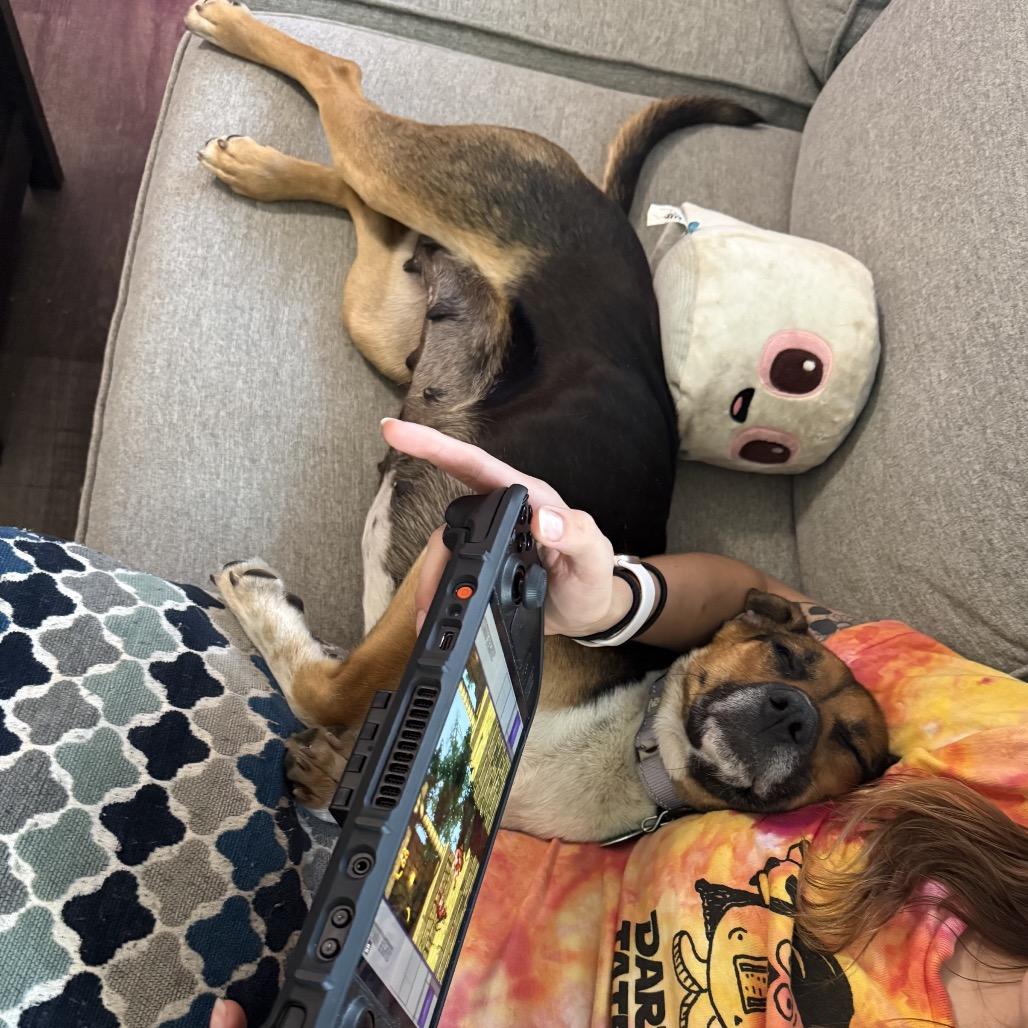 Enlarge Mariska, a Adoptable Mixed Breed in Sioux Falls, SD image 5/6