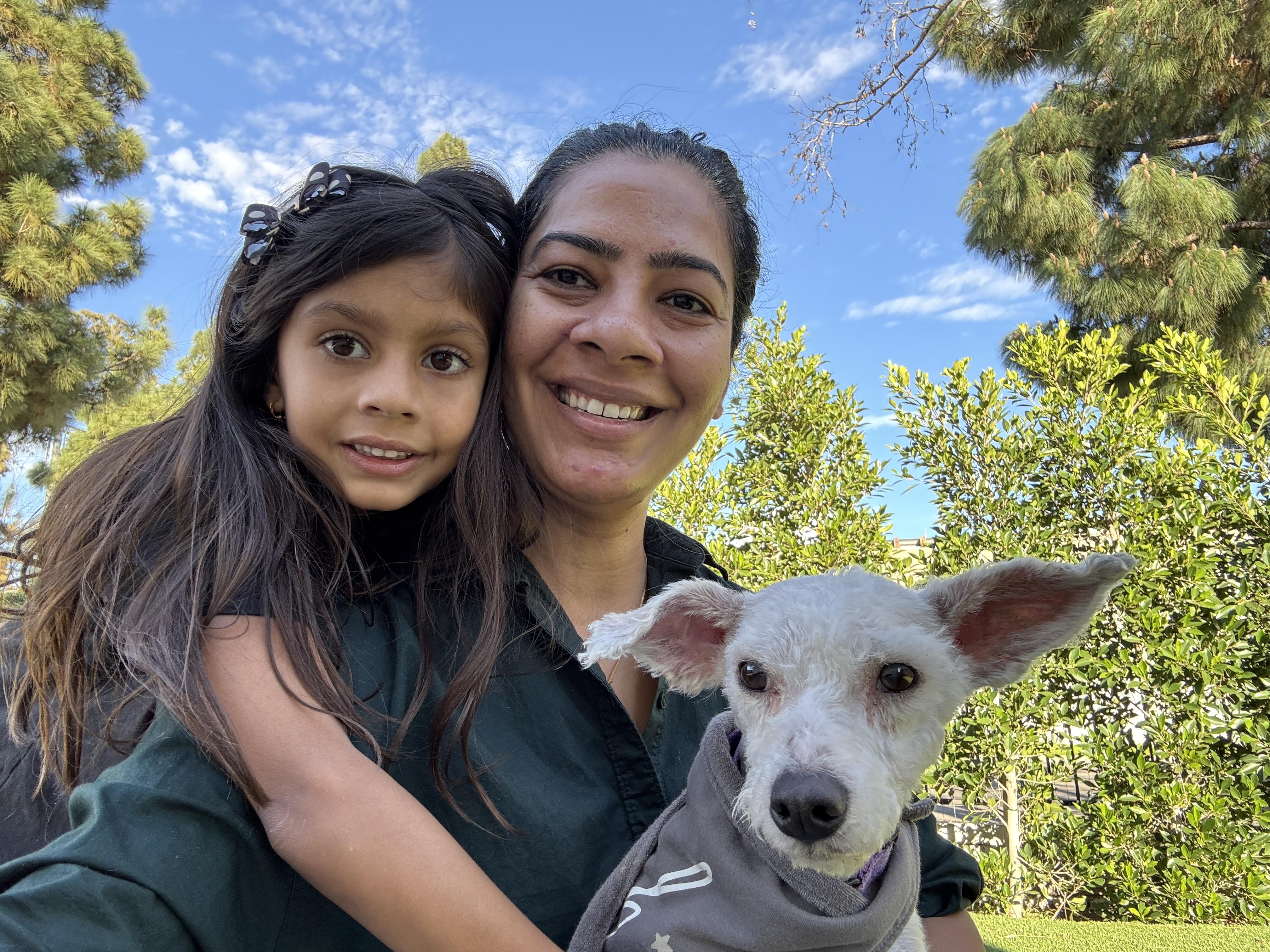 GlueStick , an adopted mixed breed in Los Angeles, CA image 2/6