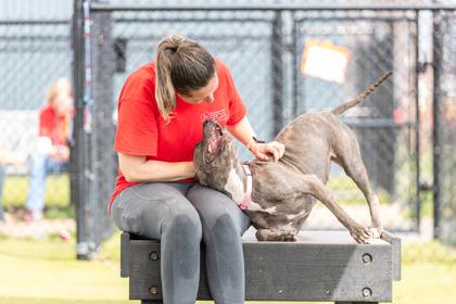 Scarlett — thumbnail 3