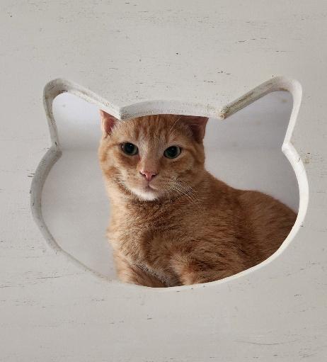 Chucky — thumbnail 3