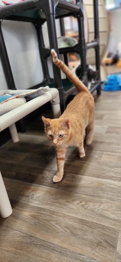 Chucky — thumbnail 5