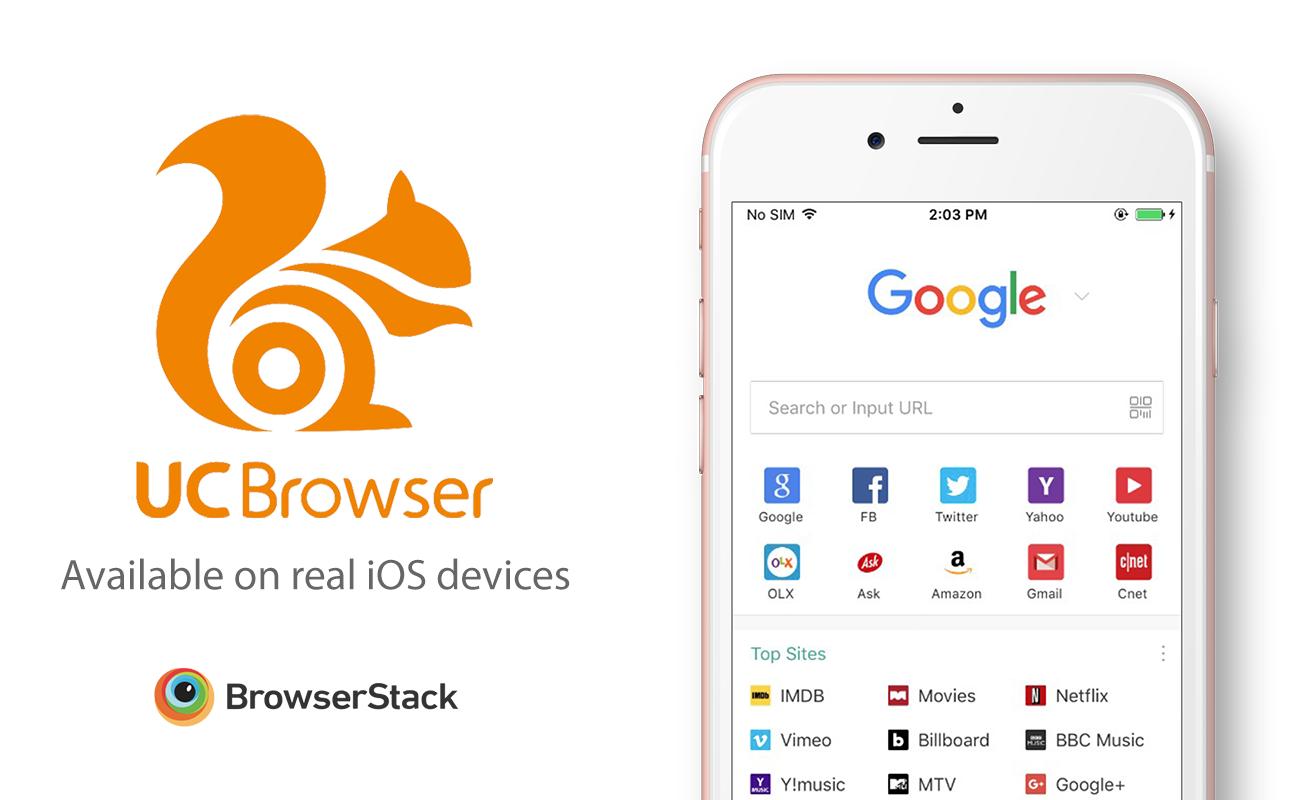Enlarge Jesse-duplicateiphone 16- myk, a Adoptable Eastern Box in Bettles, AK image 4/6