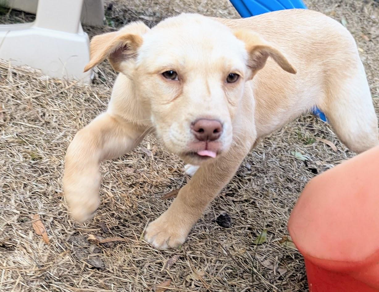 SUMMER — thumbnail 2