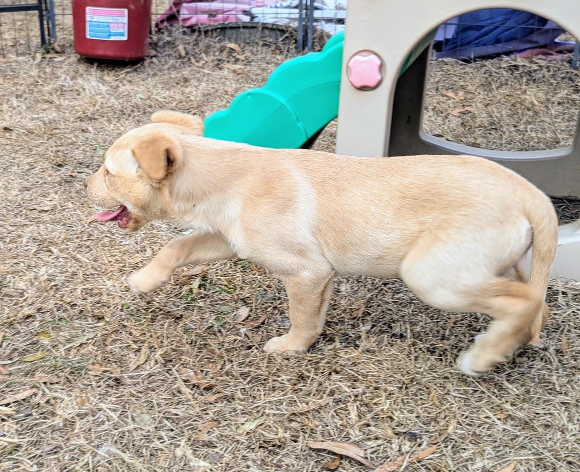 SUMMER — thumbnail 4