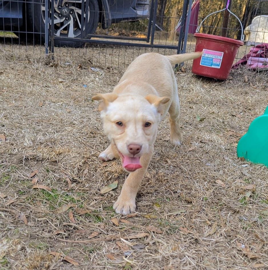 SUMMER — thumbnail 5