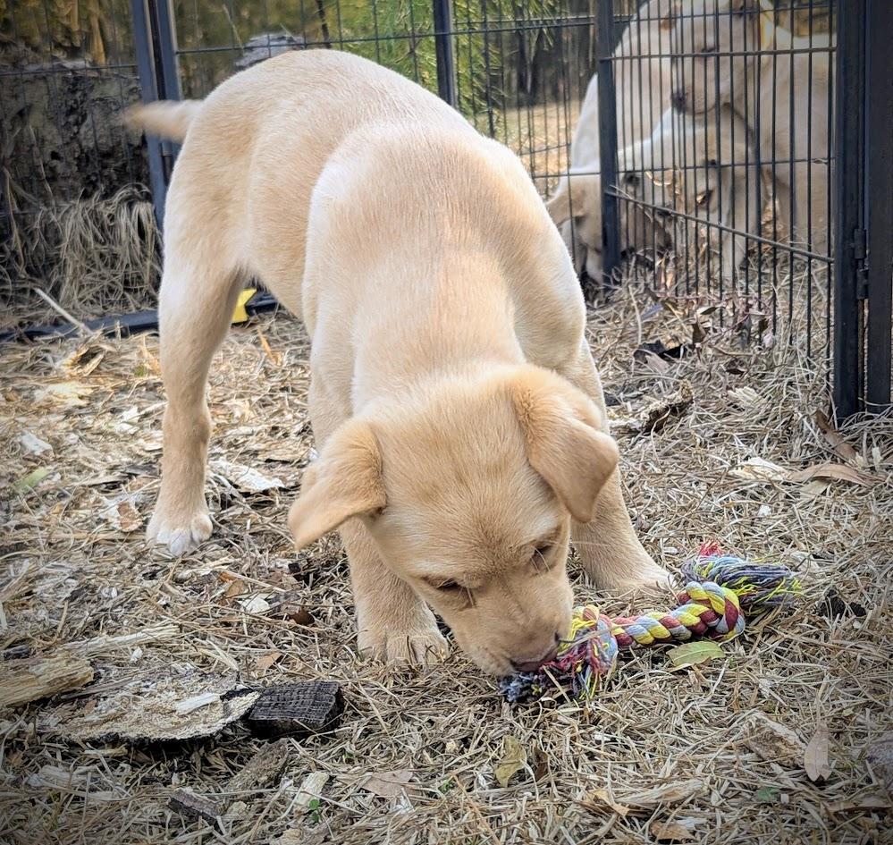 SUMMER — thumbnail 6