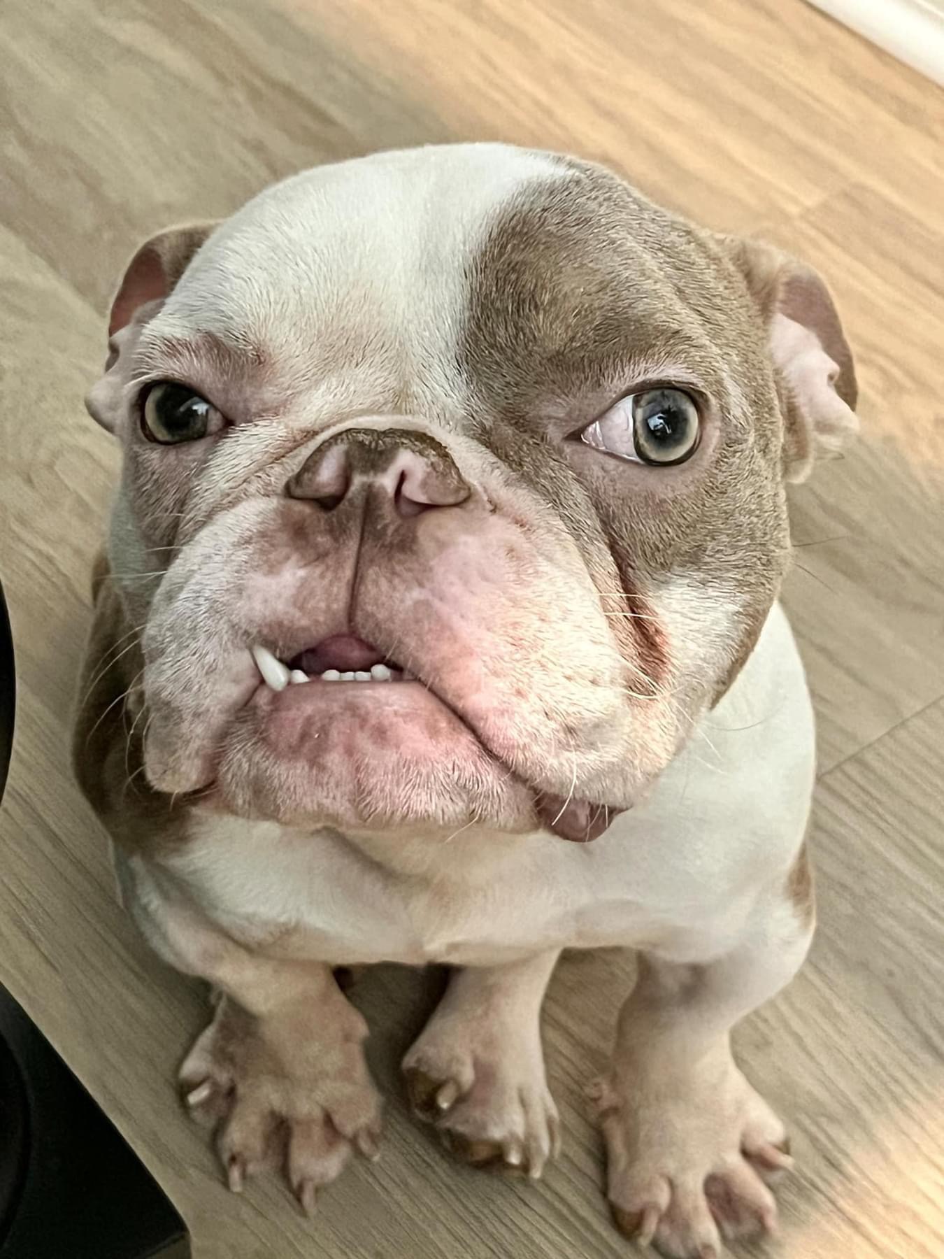 Kali