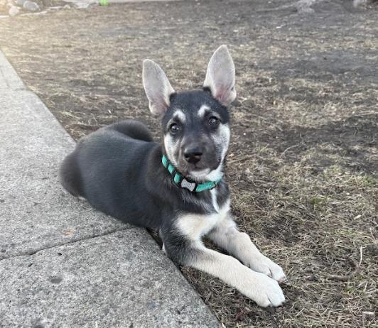 Annie — thumbnail 2