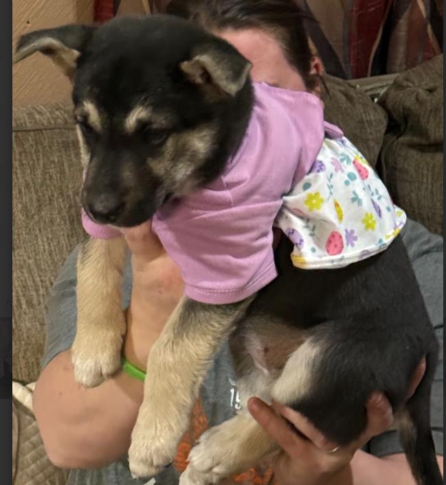 Annie — thumbnail 6