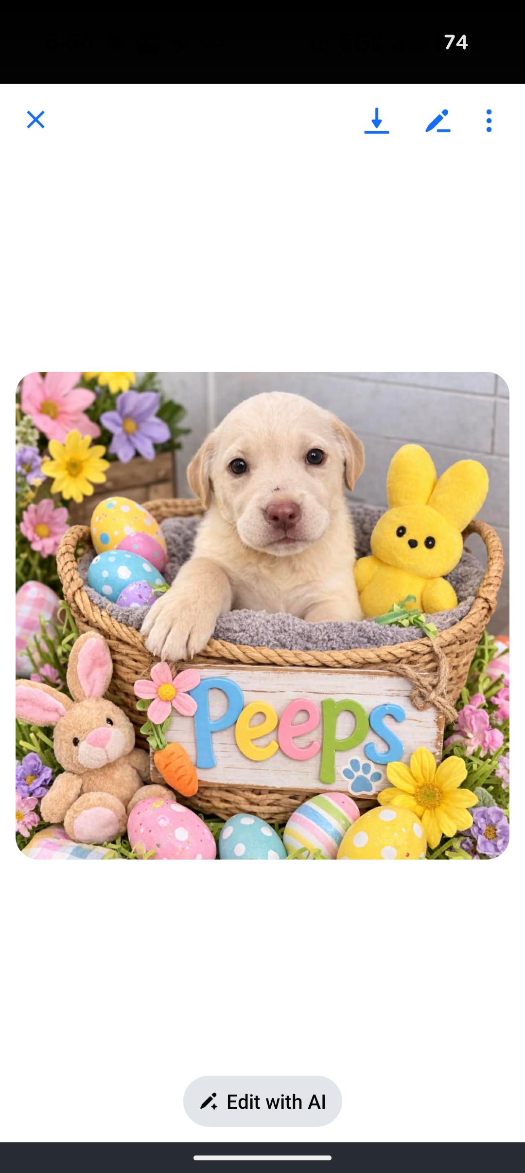 Enlarge PEEPS, an adopted mixed breed in Browns Mills, NJ image 2/2