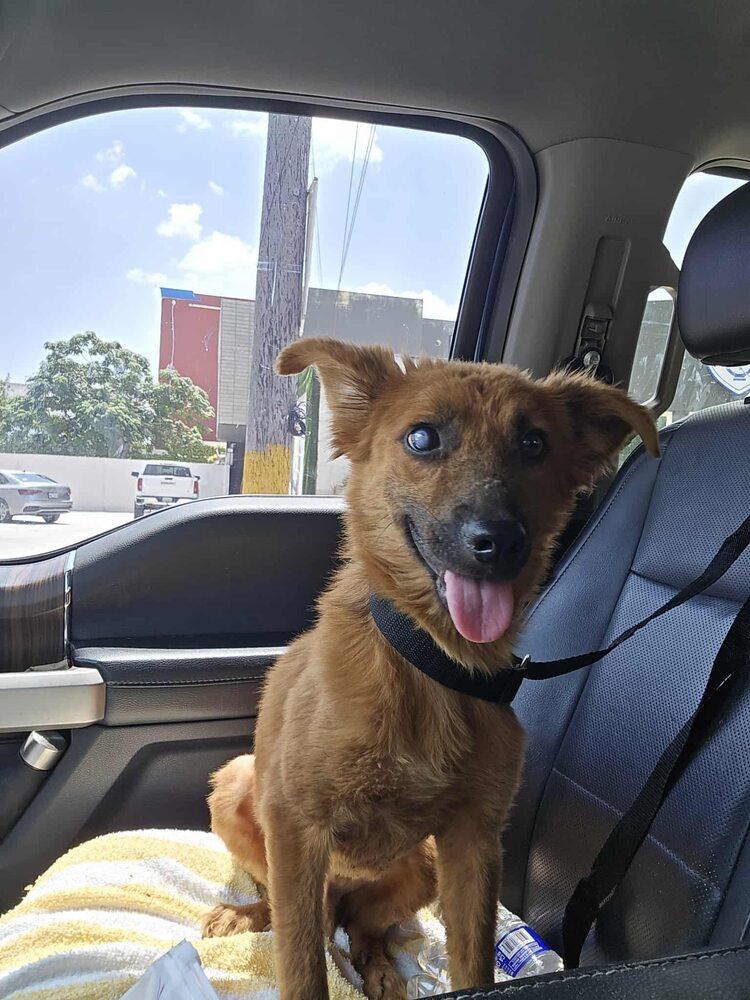 Betsy Tx thumbnail 2