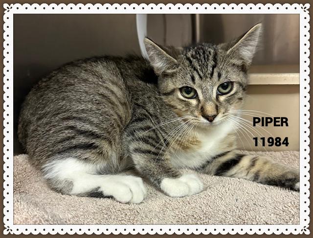 PIPER