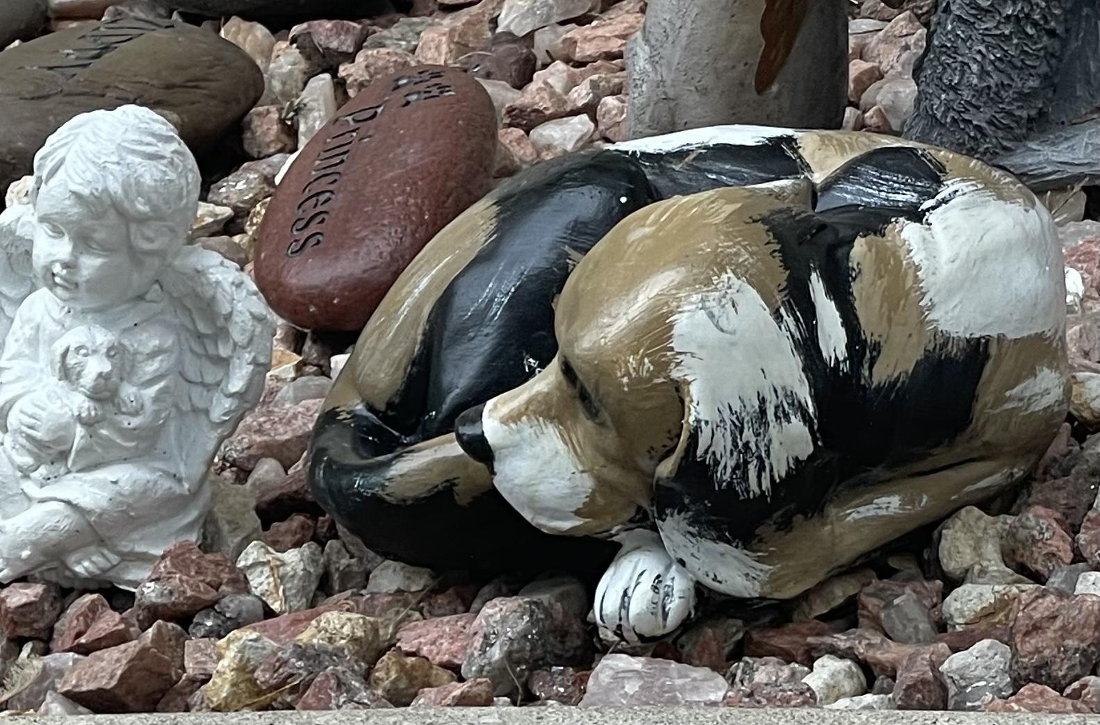 Laila, a Adoptable mixed breed in Wheaton, IL image 3/6