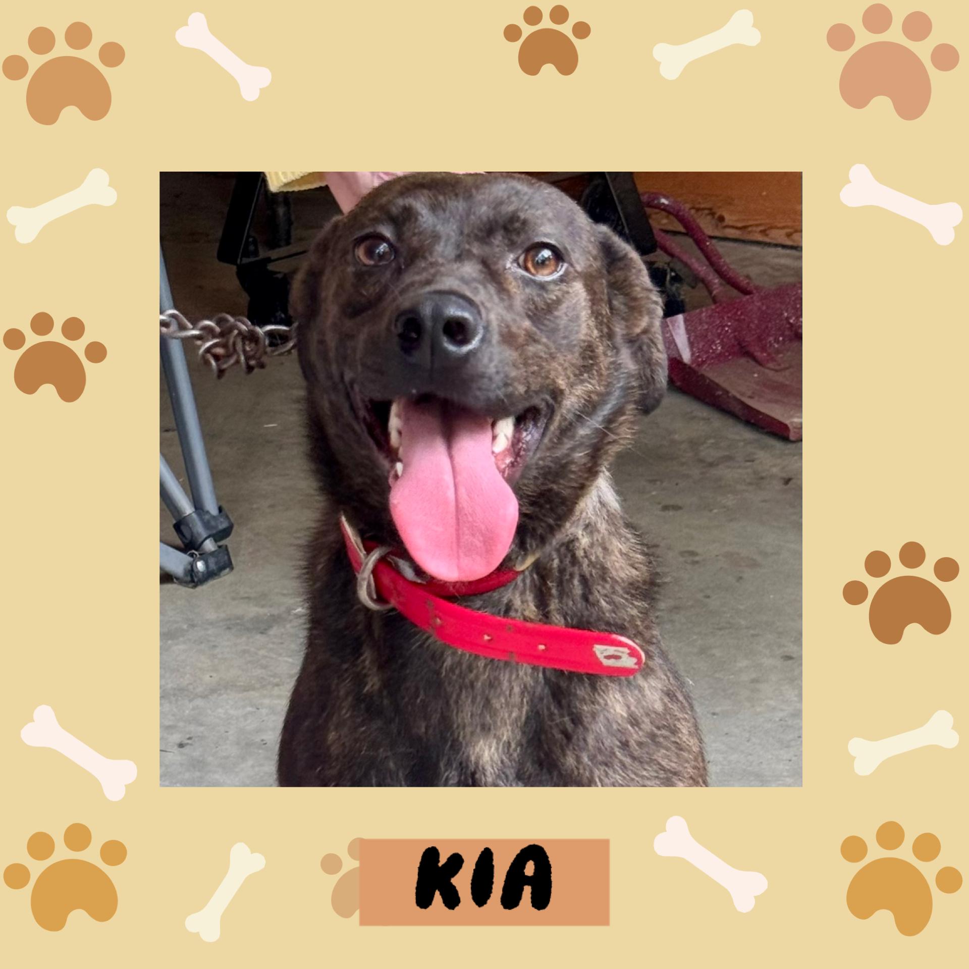 Kia