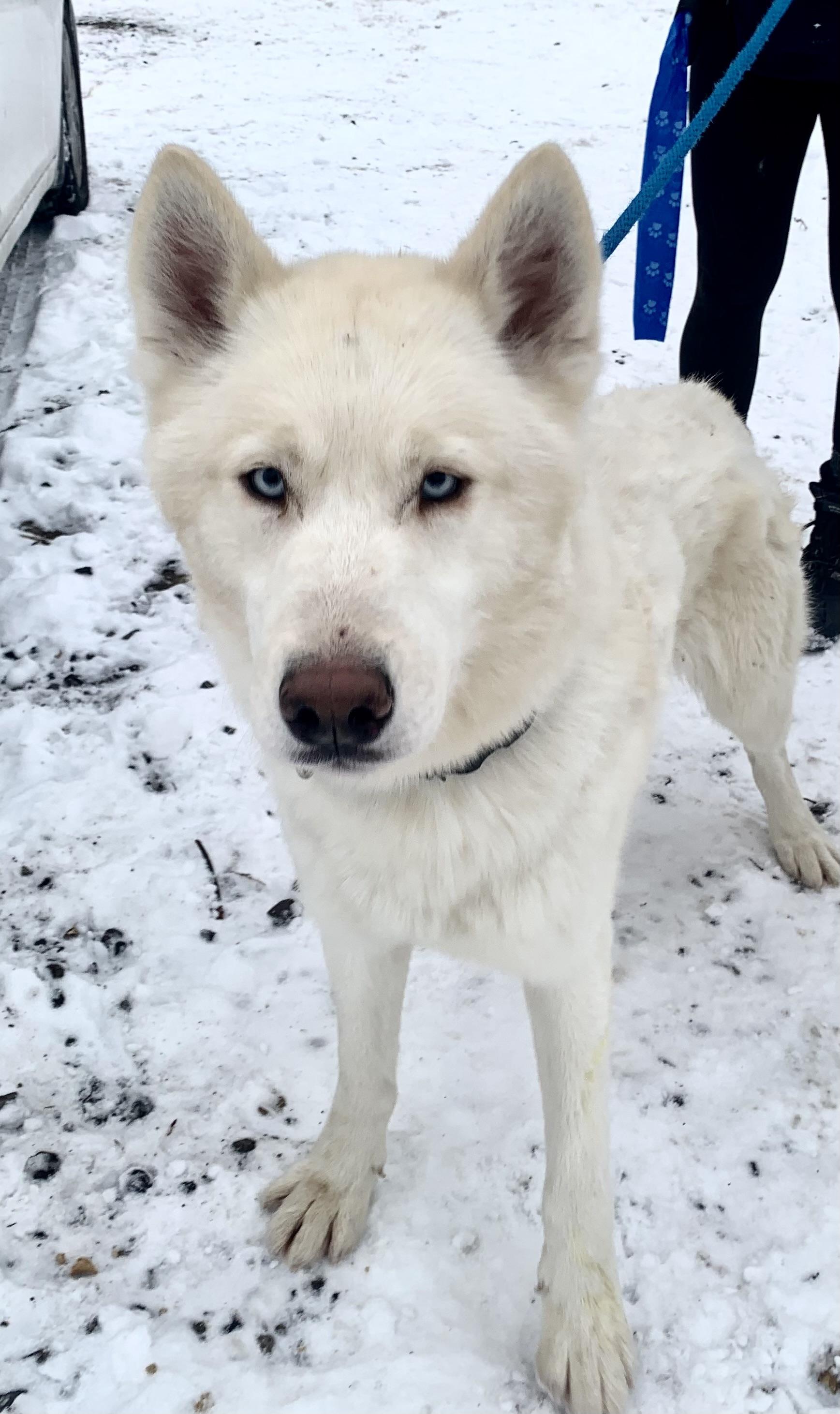 Remi — thumbnail 2