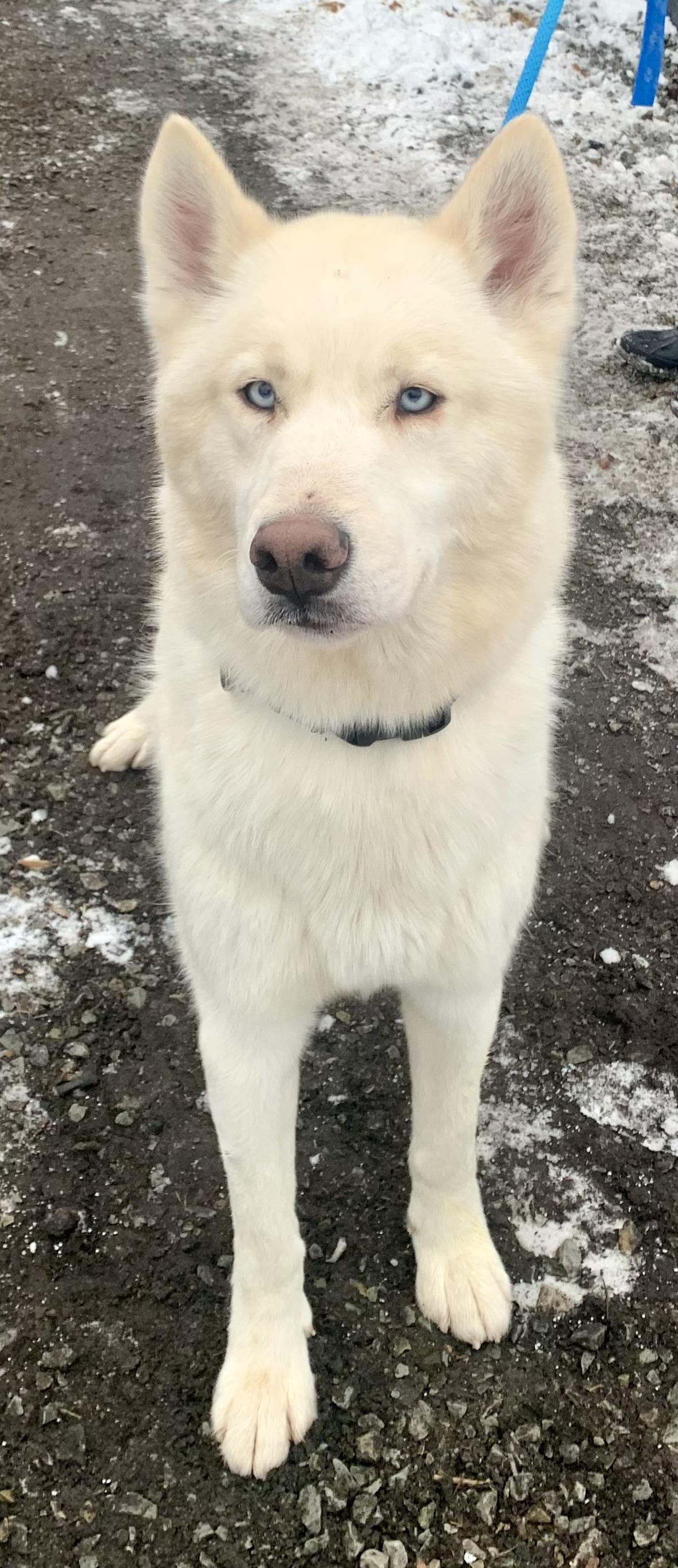 Remi — thumbnail 3