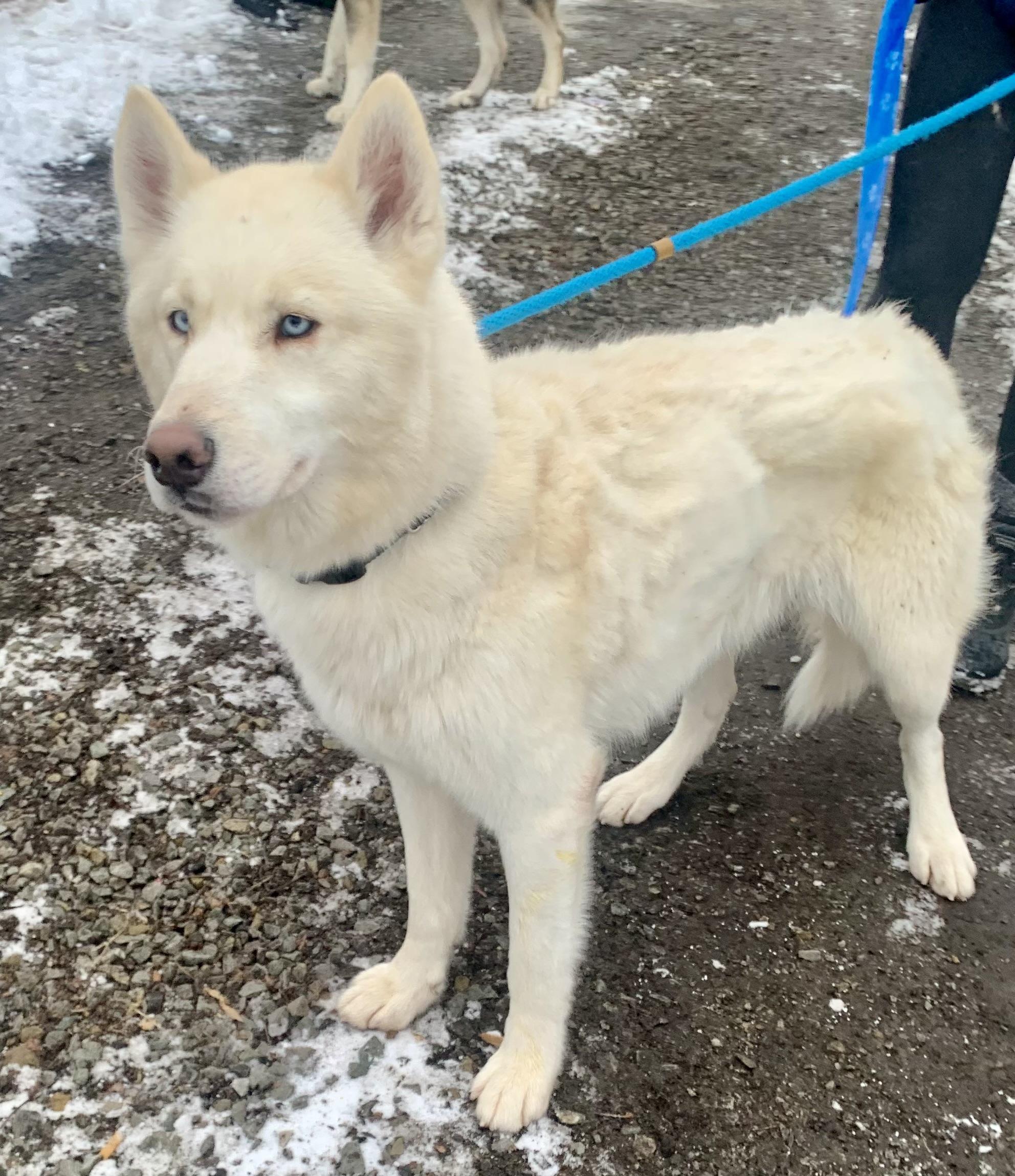 Remi — thumbnail 4