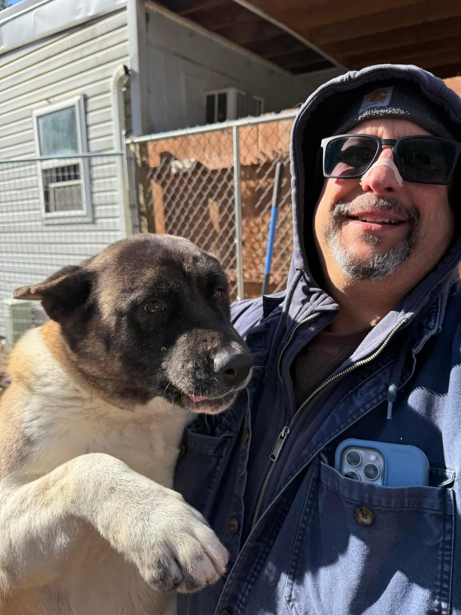 Enlarge Dorothy, a Adoptable Akita in Toms River, NJ image 4/5