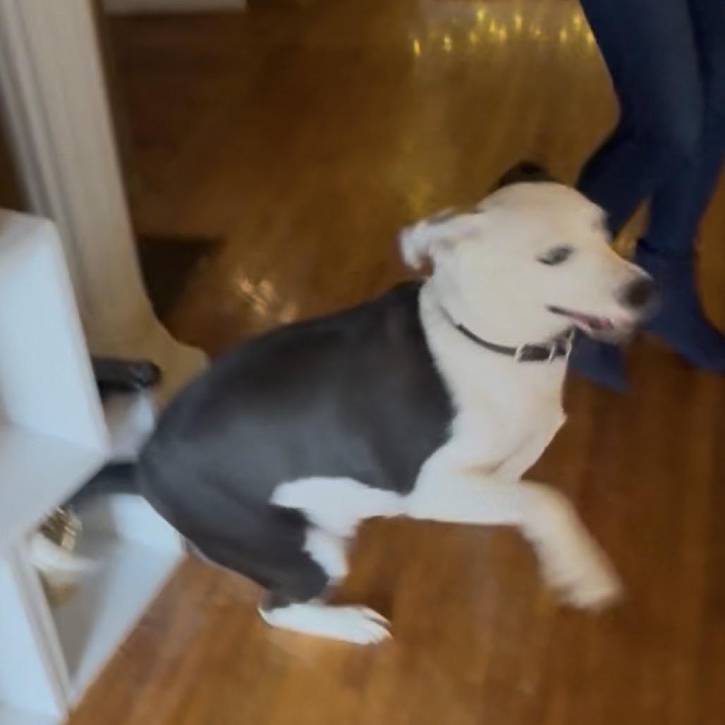 Hazy Blue thumbnail 5