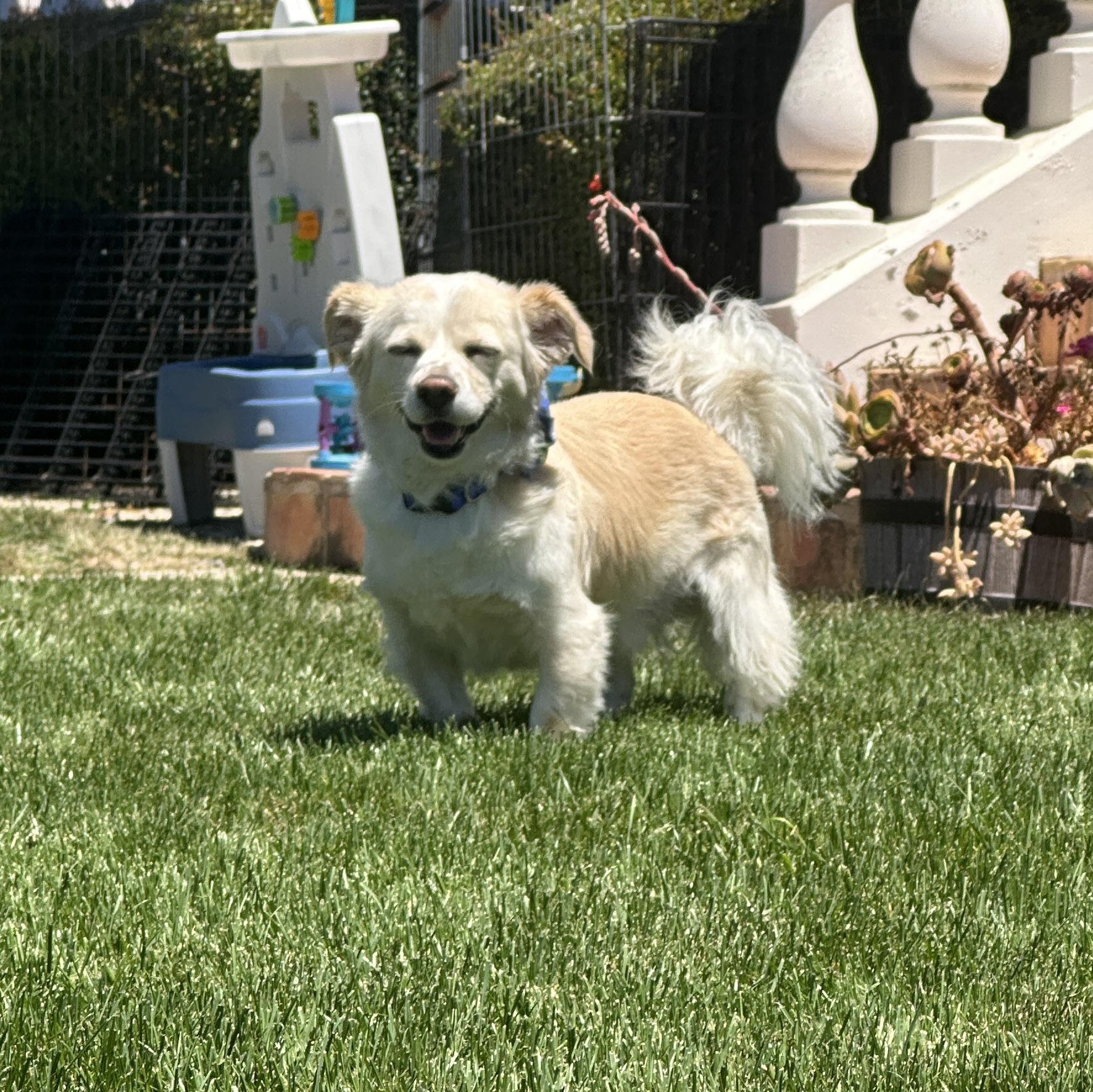 RICKY photo 5