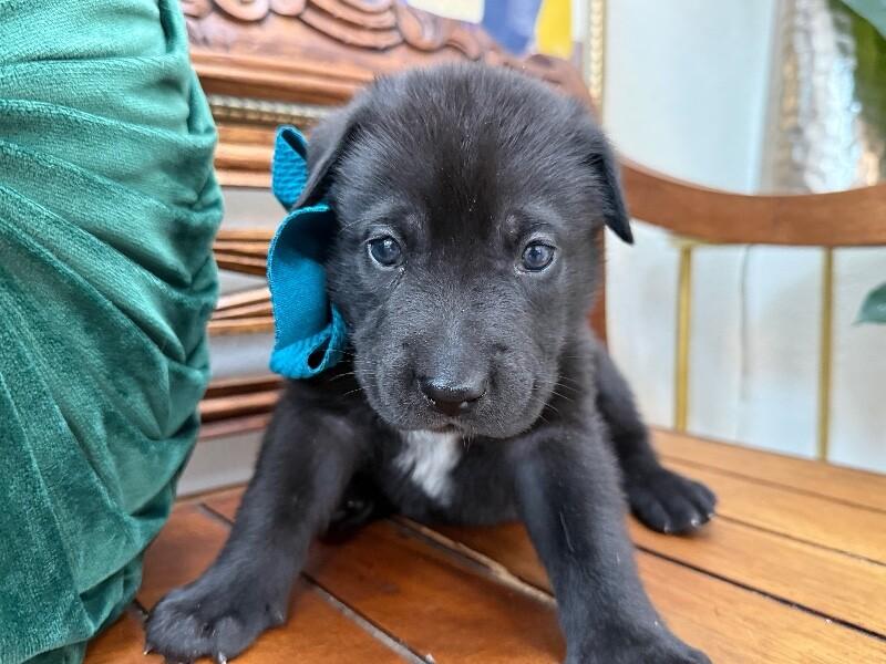 Eclipse Space — thumbnail 4