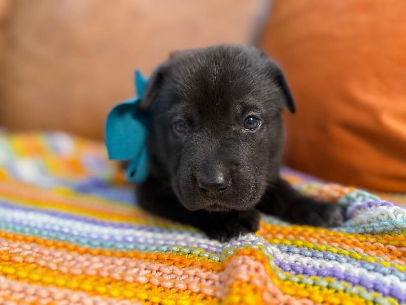 Eclipse Space — thumbnail 5