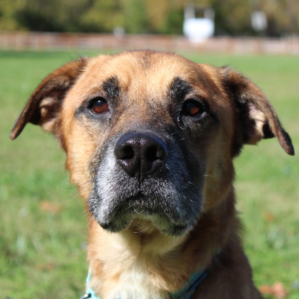 Bear Bear thumbnail 5