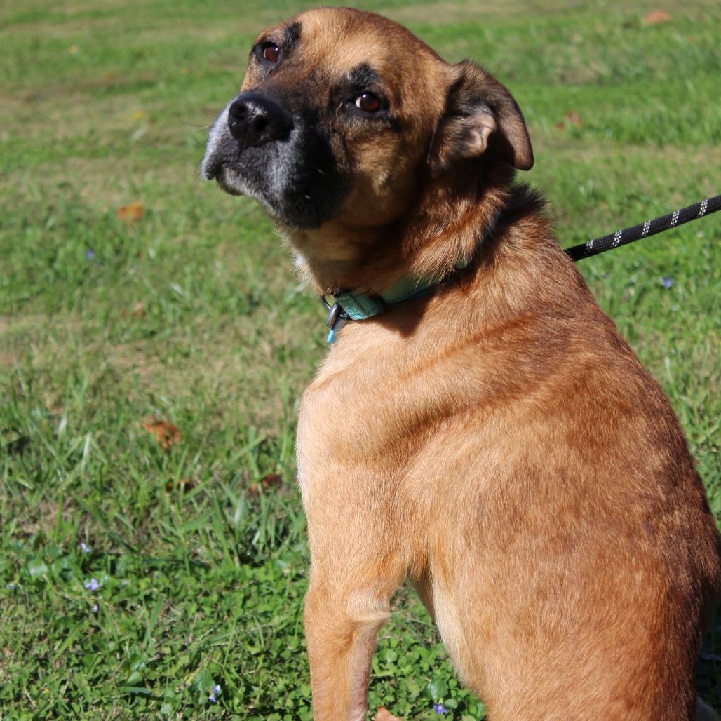 Bear Bear thumbnail 6