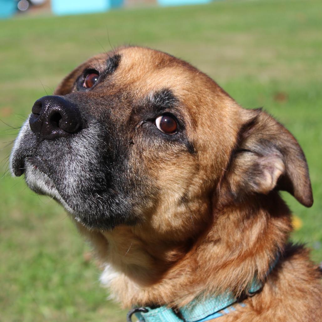 Bear Bear thumbnail 7