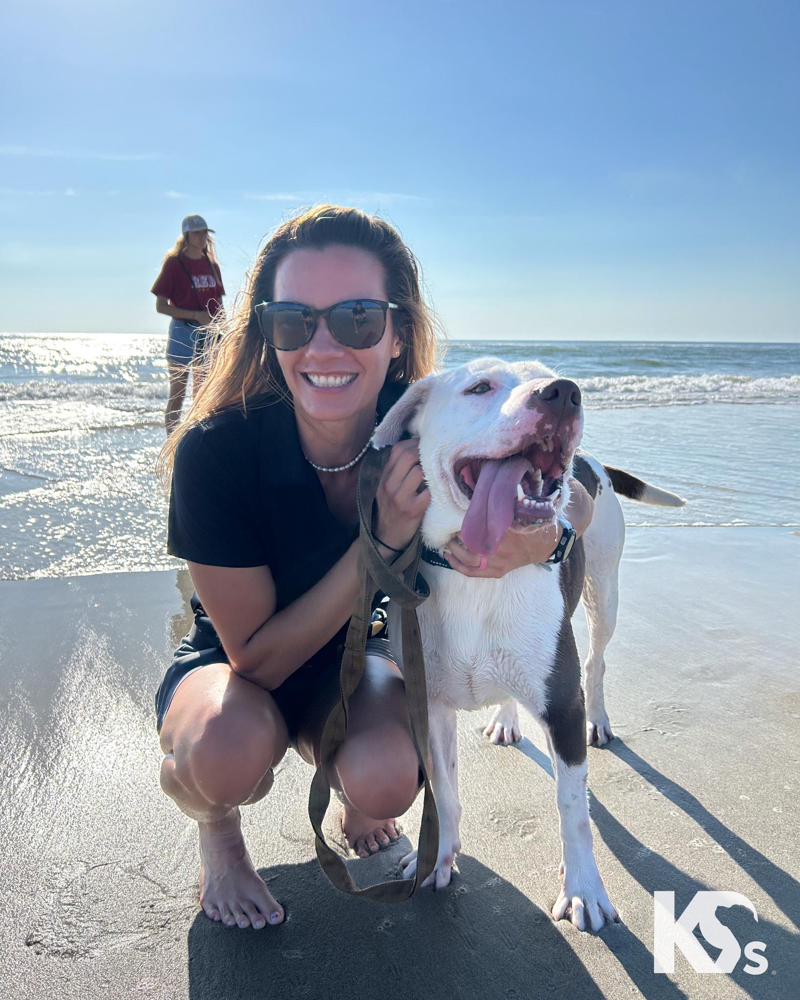 Fenrir, a Adoptable mixed breed in Ponte Vedra, FL image 6/6
