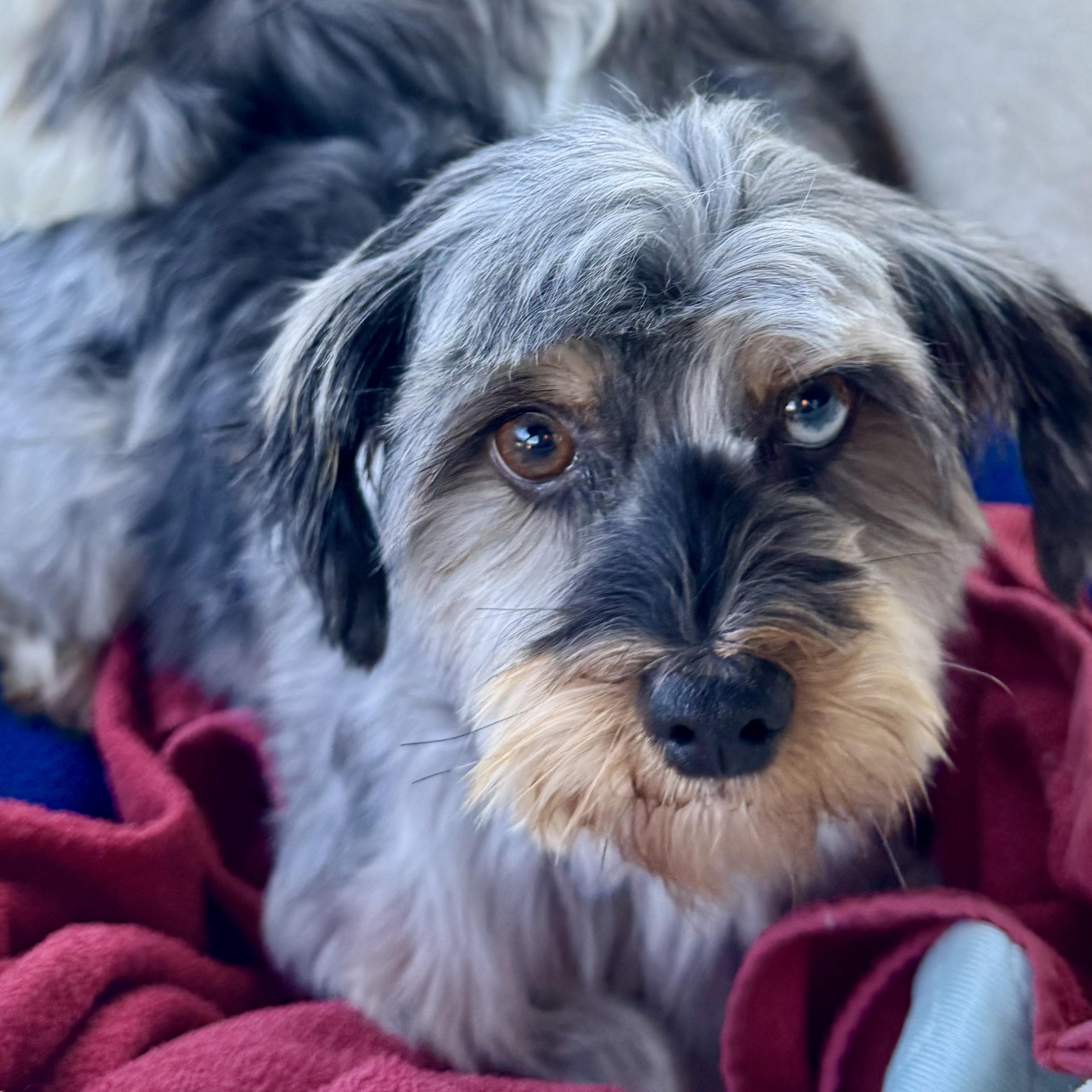 Berry Miller thumbnail 2