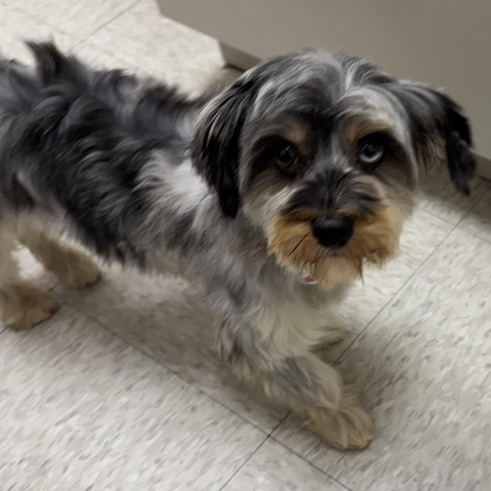 Berry Miller thumbnail 3