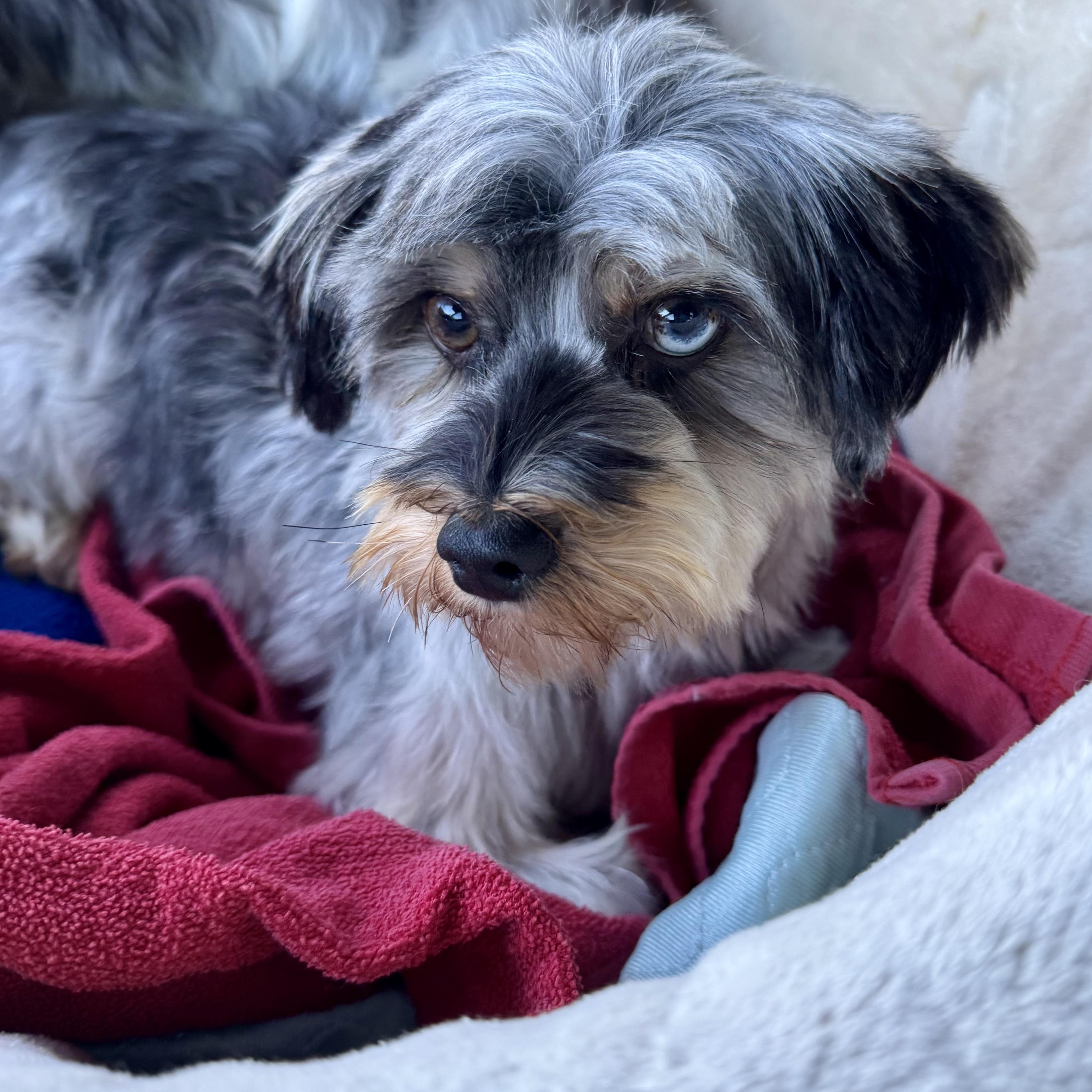 Berry Miller thumbnail 4