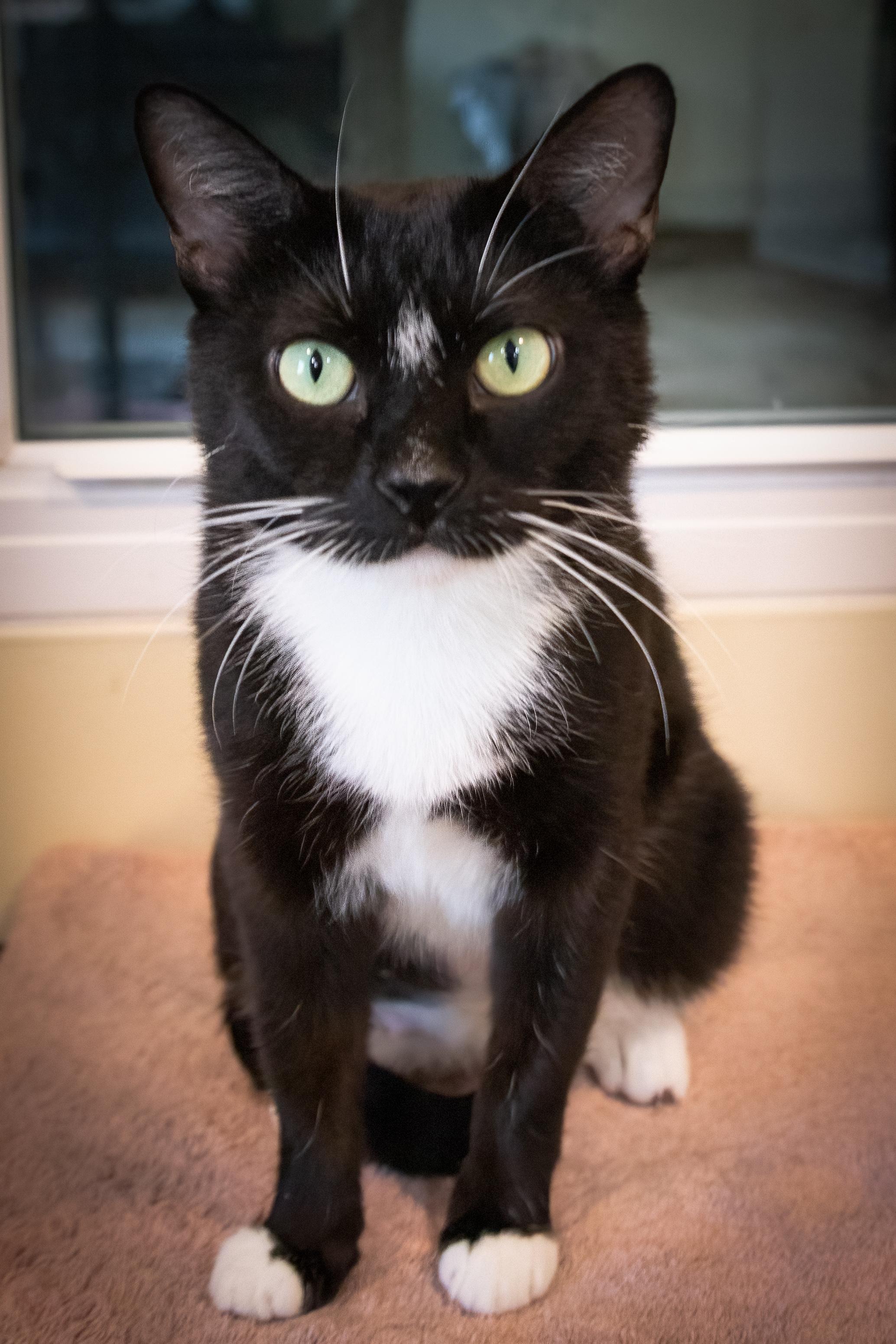 Sweetsie thumbnail 4