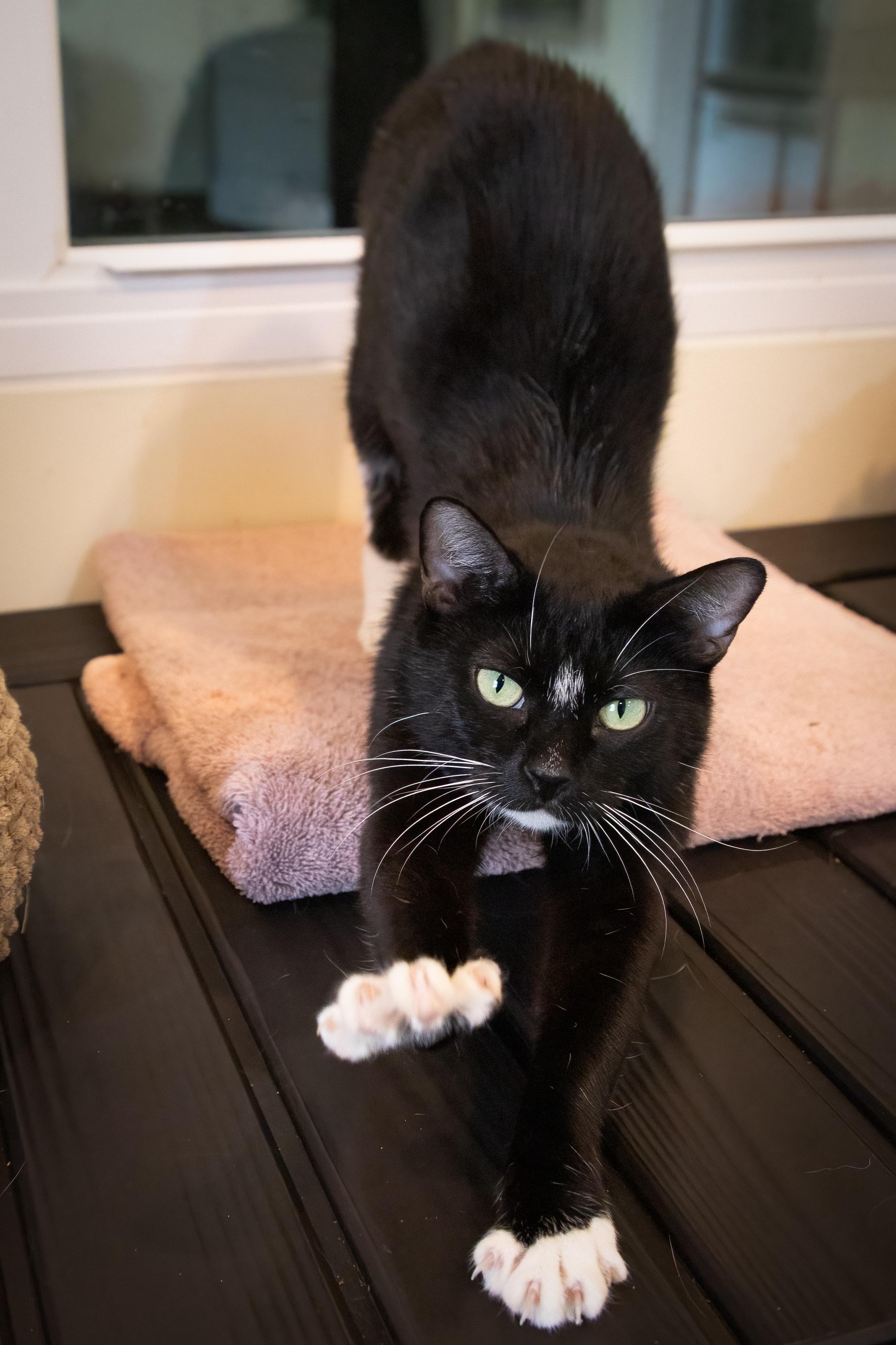 Sweetsie thumbnail 2