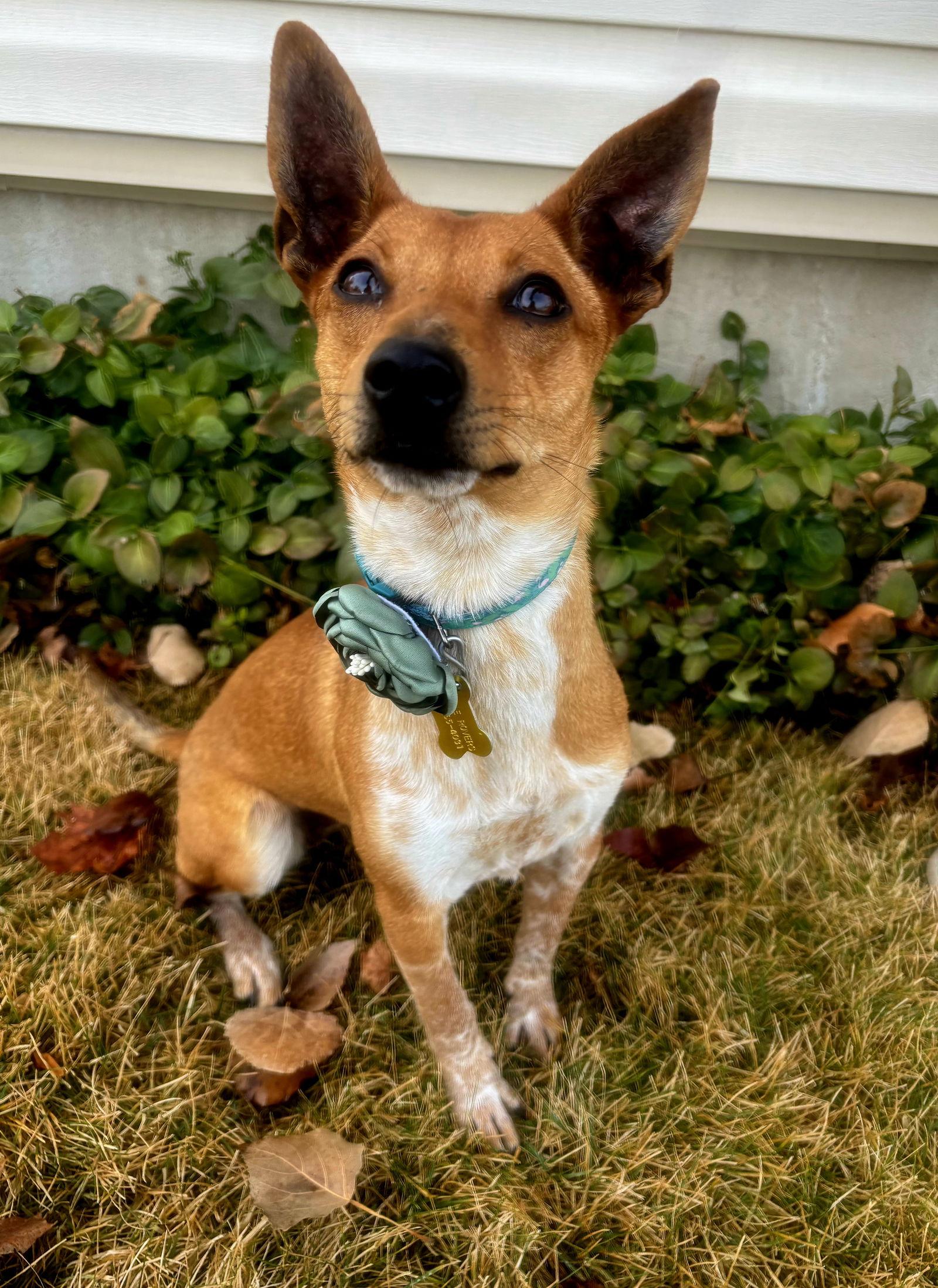 Keti — thumbnail 2